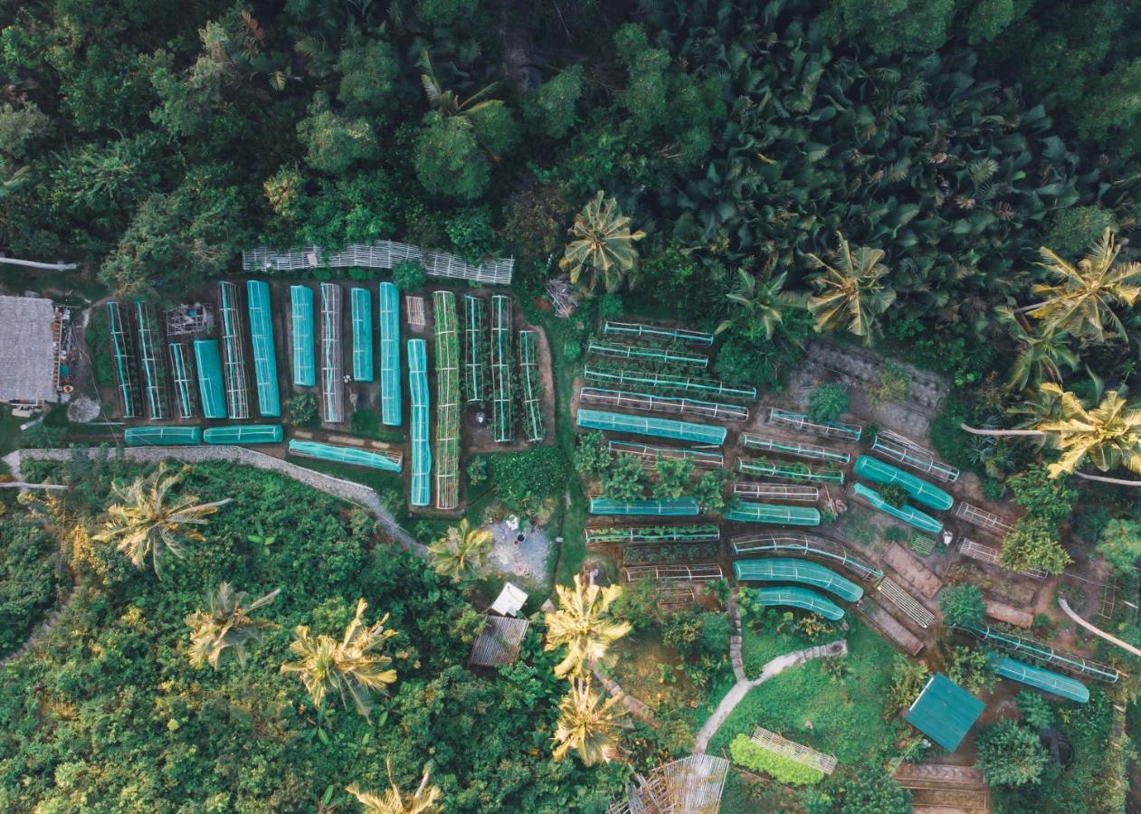 Ocean Green Eco Lodge Puerto Princesa Exterior photo